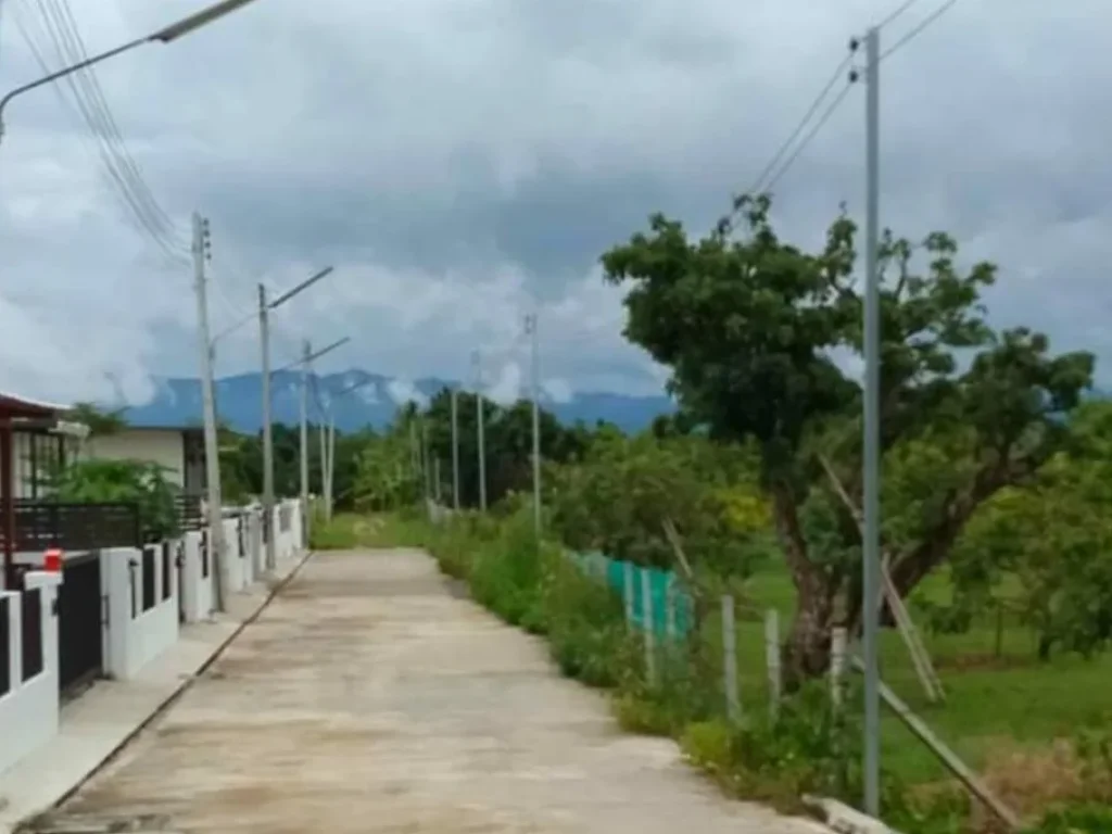 ขายที่ดินบ้านสะลาบ ชมภูสารภี ถนนคอนกรีต พร้อมโอน