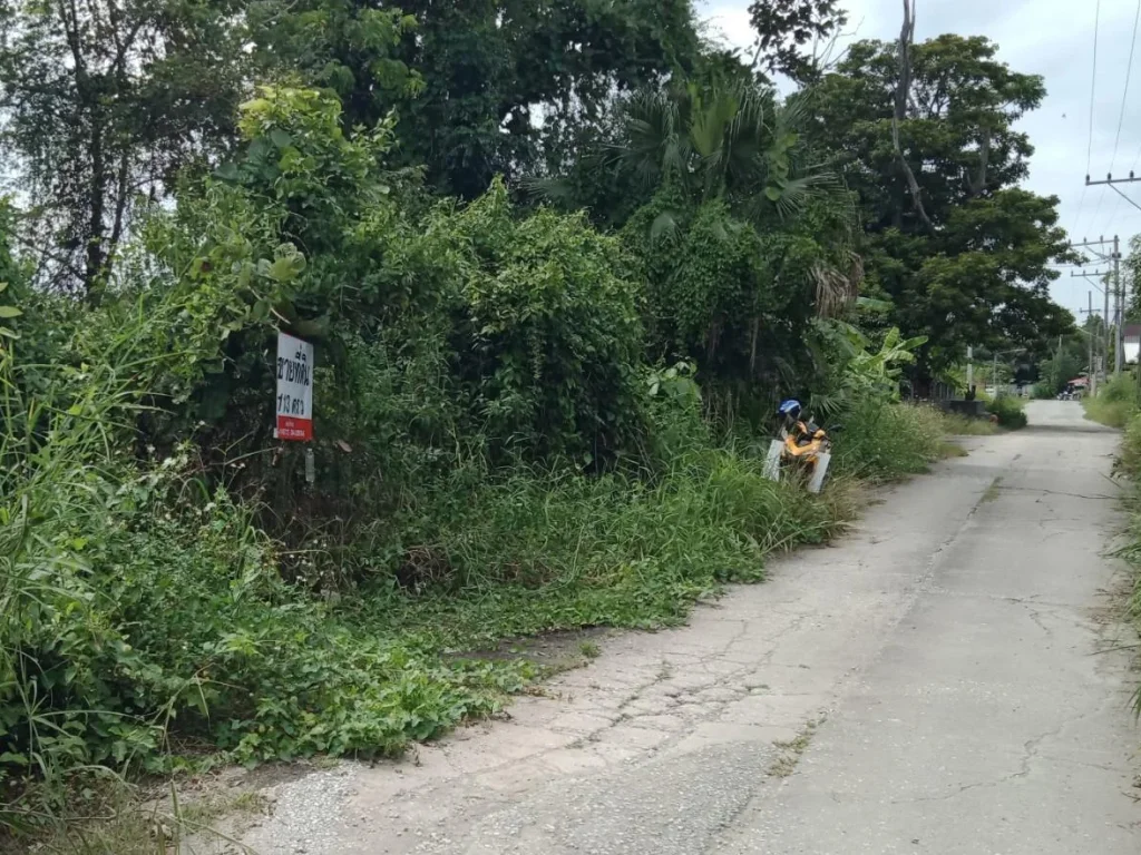 ที่ดินเปล่าบ้านสันต้นม่วงเหนือ