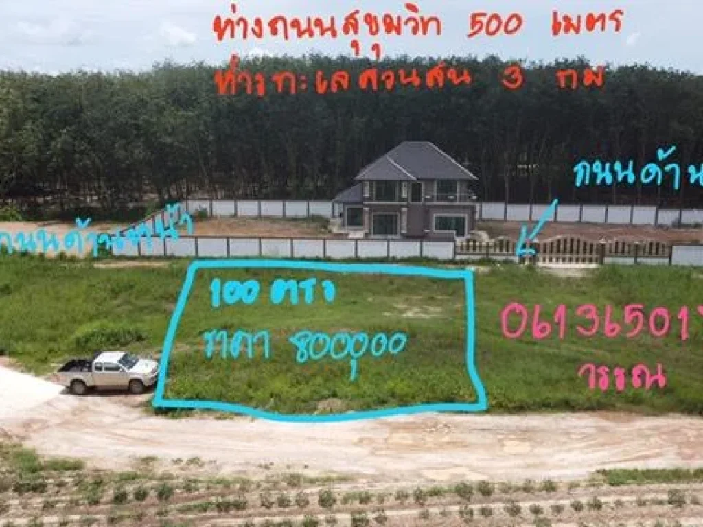 ขายที่ดิน100ตรว สำหรับสร้างบ้านพักอาศัยใกล้ทะเลสวนสนระยอง