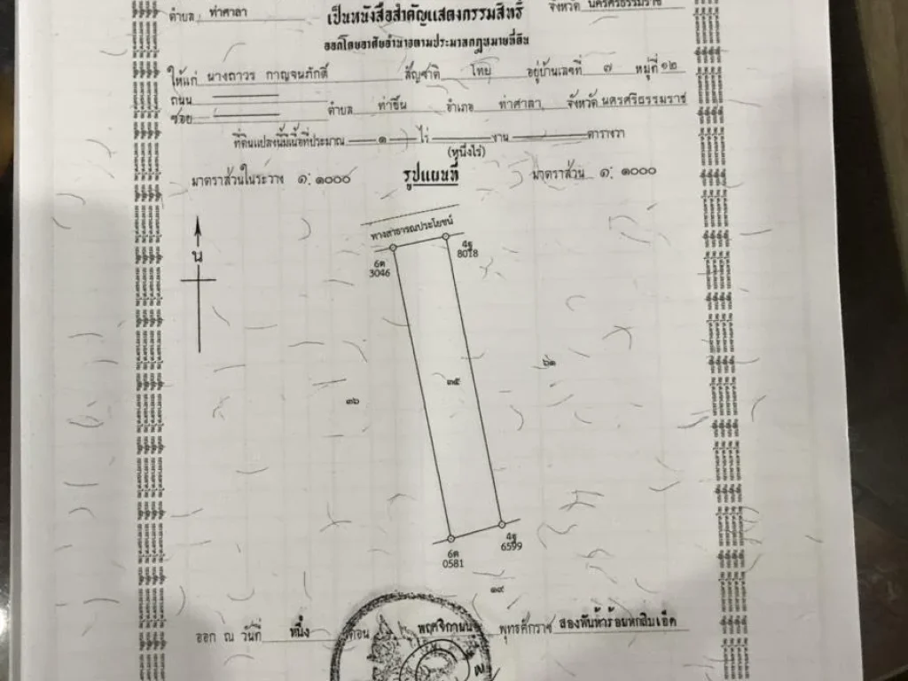 ขายที่ดิน ห่างจากป้อมยามทางเข้ามหาวิทยาลัยวลัยลักษ์ 300 เมตร