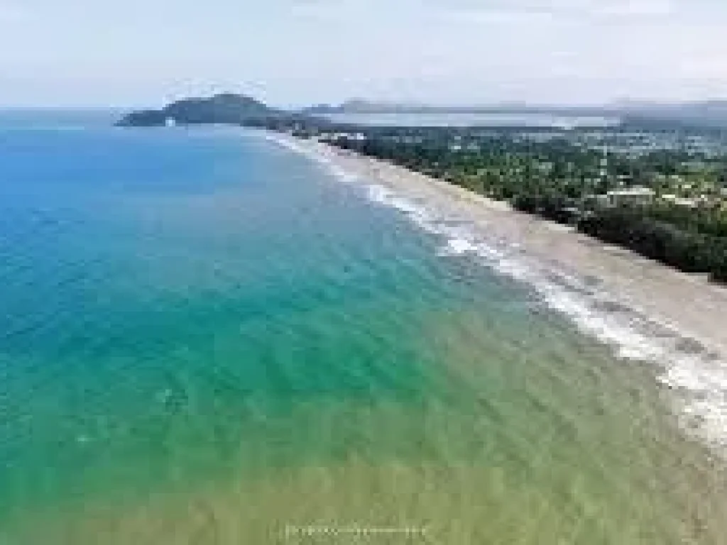  ขายที่ดินติดชายทะเล หาดพลา ใกล้สนามบินอู่ตะเภา โฉนด 31 ไร่