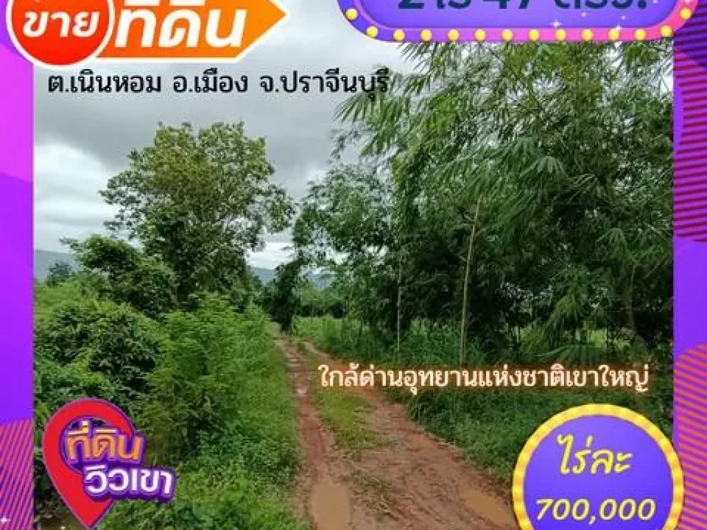 ที่ดินวิวเขา2 ไร่ 47ตรวติดถนนสาธารณะ ใกล้เขาใหญ่