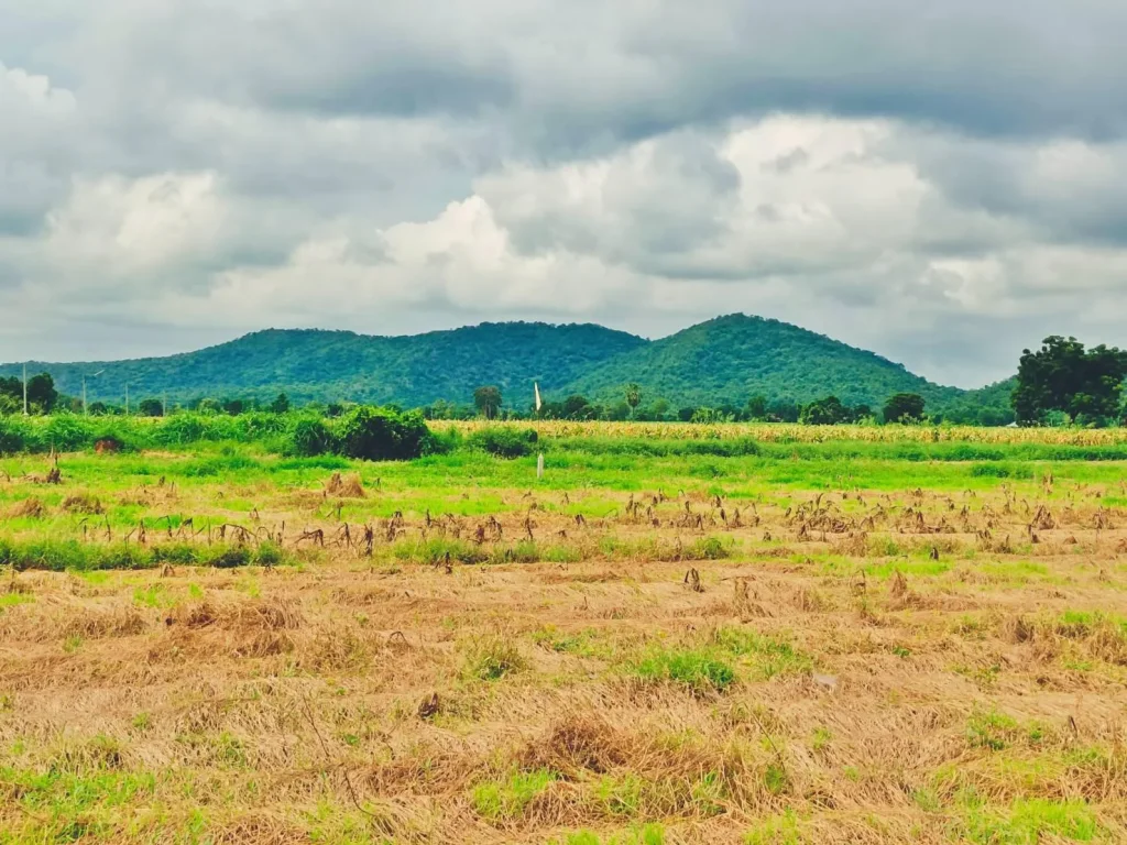 น้ำไม่ท่วม ที่ดินวิวเขาสวย ใกล้วัดเขาดีสลัก บรรยากาศดีทำเลดีเหมาะสร้างบ้านสวนยามเกษียณ