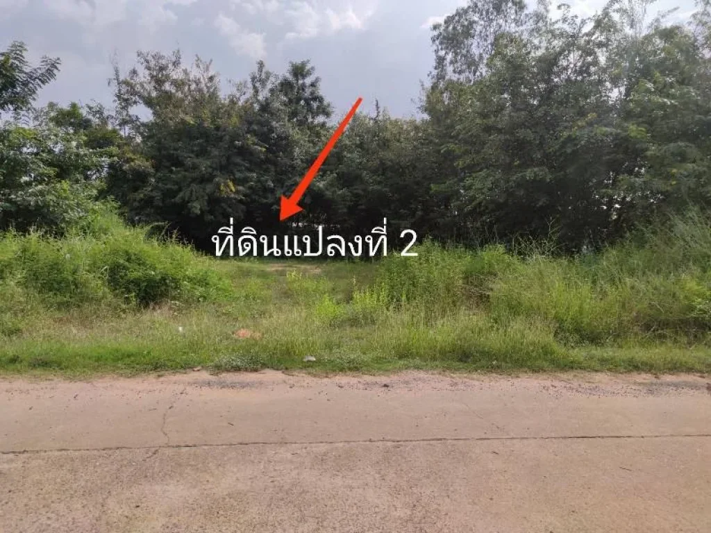 ที่ดินสร้างบ้าน พิกัดบ้านดอนแรด ยโสธร