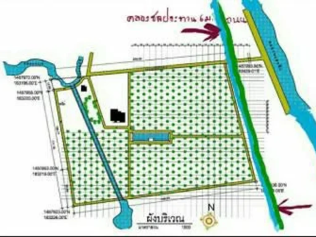 ขายที่ดิน25ไร่วังน้ำเย็นพร้อมสวนปาล์มแถมบ้าน