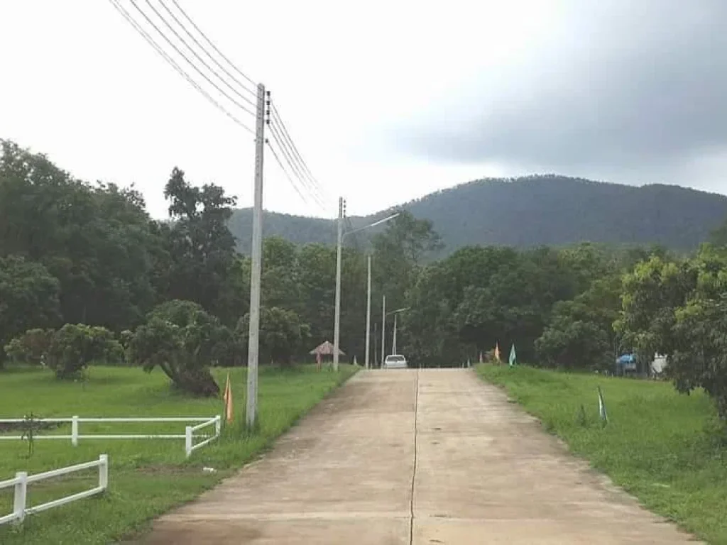 ขายที่ดินลวงเหนือ ดอยสะเก็ต วิวดอย ถนนคอนกรีต