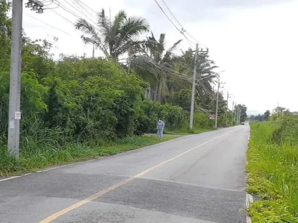 ขายที่ดินติดคลองชลประทานใกล้ กุลพันธ์วิลล์สันผักหวาน