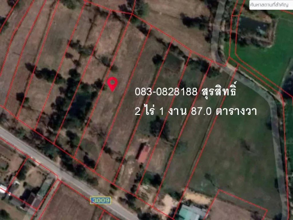 ขายที่ดินติดถนน ตำบลโพนงามติดถนนทำเลทองเหมาะแก่การค้าขาย