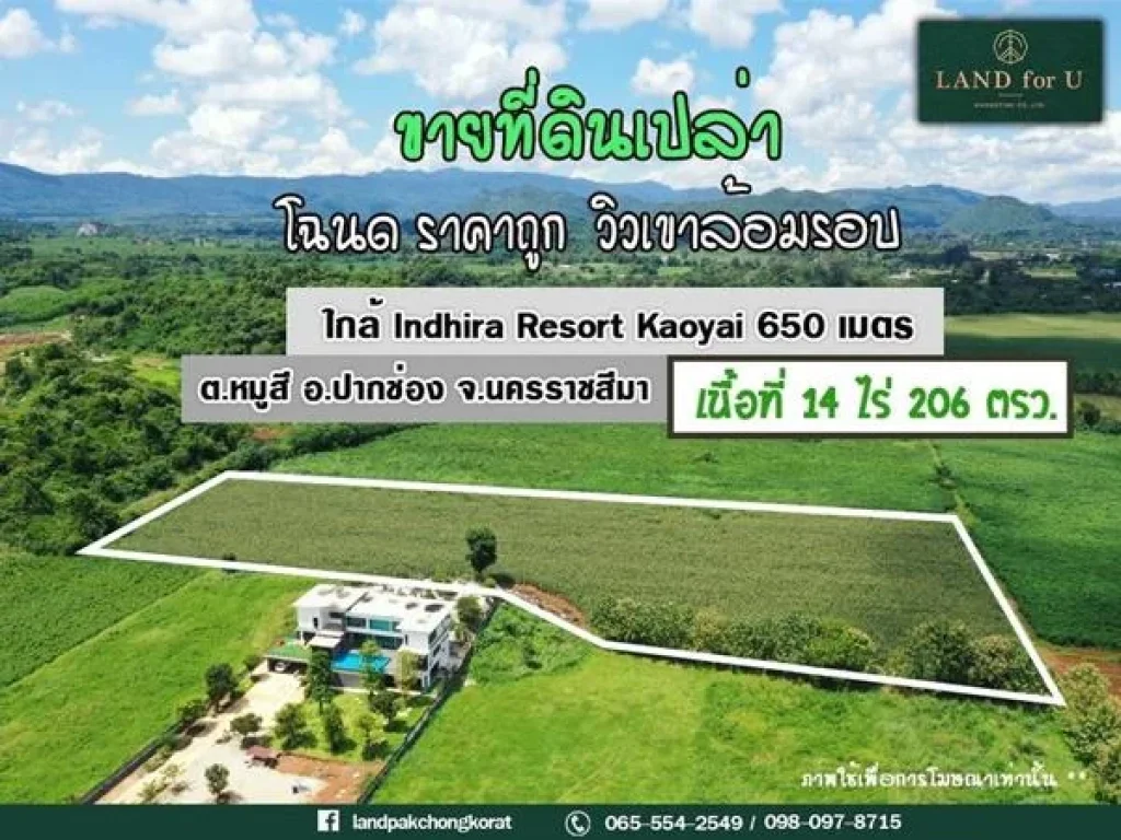 ขายที่ดินเขาใหญ่ ที่ดินราคาถูกตำบลหมูสี ตารางวา6000บาท วิวเขาใหญ่ล้อมรอบ บรรยากาศดีมาก