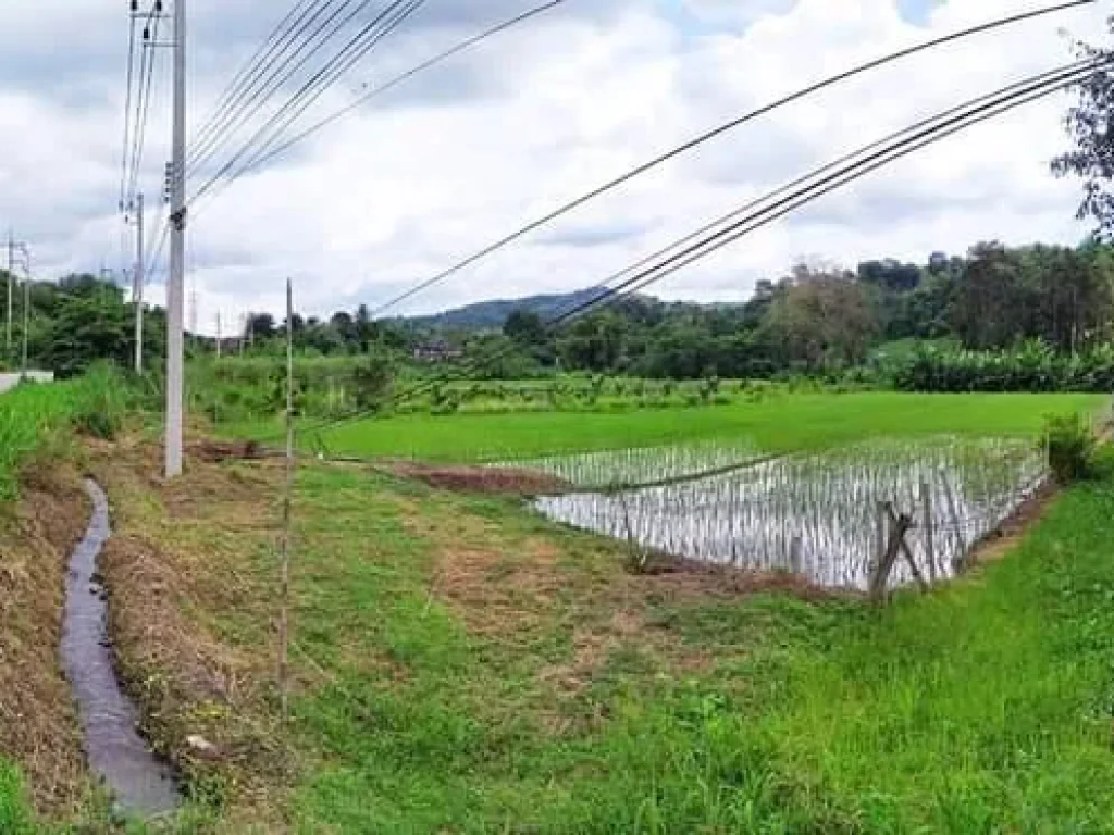 ขายที่ดินสบเปิงแม่แตงหน้าติดถนนหลังติดลำห้วยโฉนด