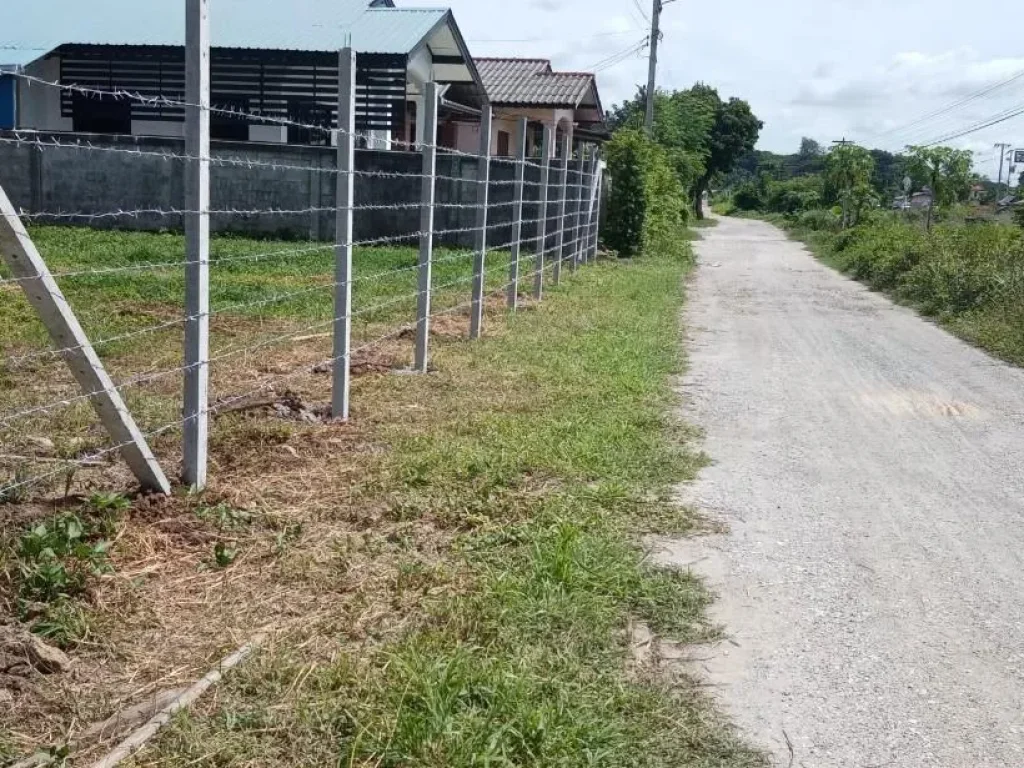 ขายที่ดินตำบลอุโมงค์ เลียบรถไฟสารภี โฉนดพร้อมโอน