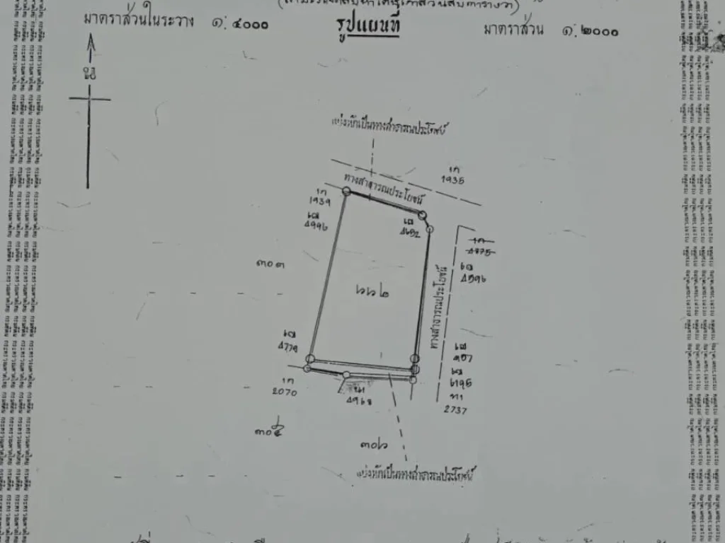 ขายที่ดิน3ไร่75ตรว อยู่ตะพง เมือง ระยอง