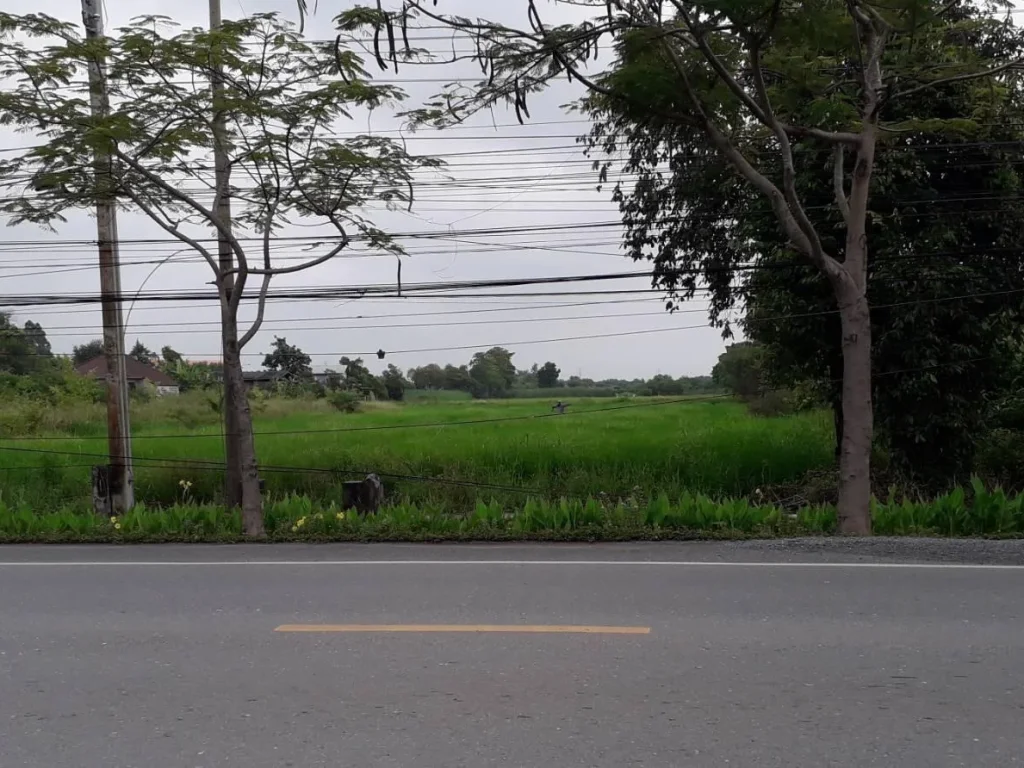 ขายที่ดินแปลงสวยติดถนน 1-2-57 ไร่ ติดถนนมิตรไมตรี