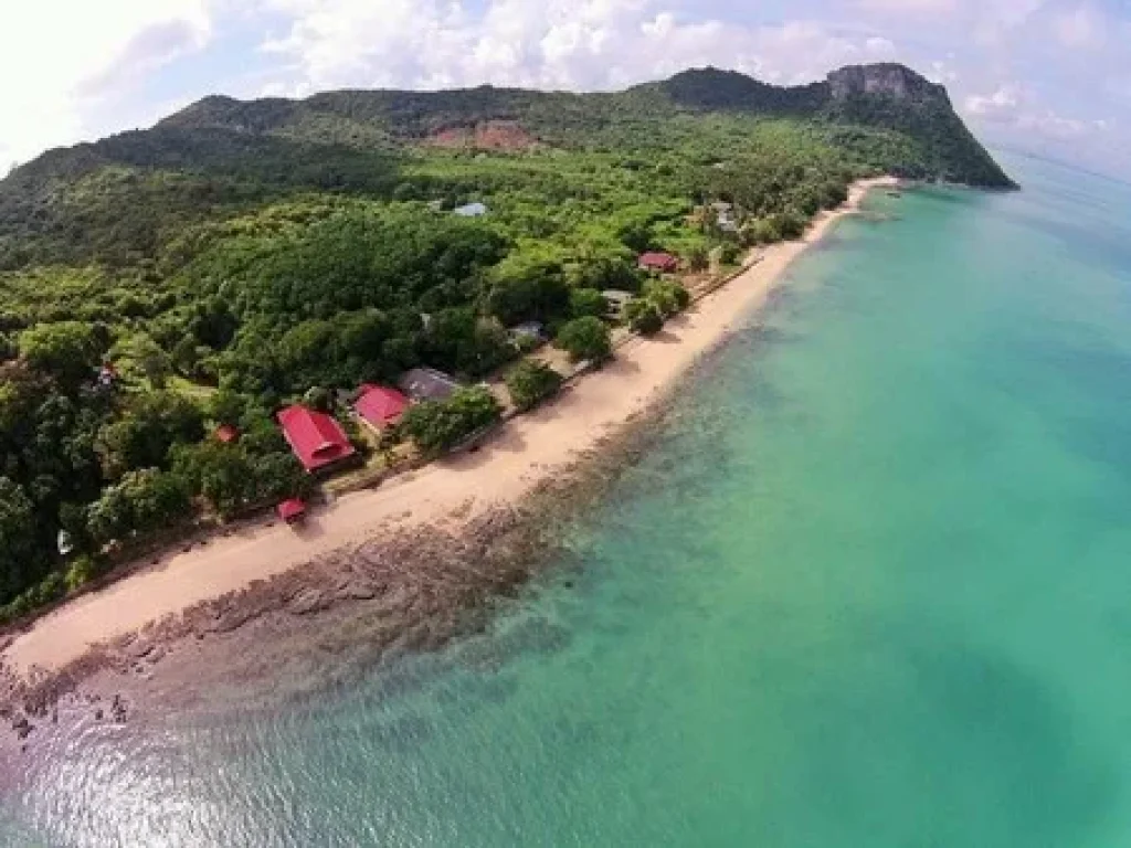 ขายที่ดินบนเกาะนกเภา เกาะธรรมชาติแห่งใหม่ คนยังไม่รู้จัก อยู่ใกล้สมุย