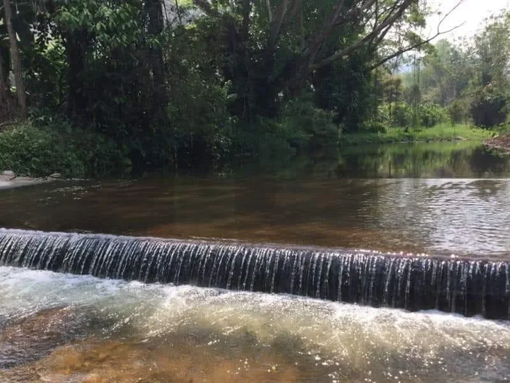 ขายบ้านสวนดอยสะเก็ต ติดธารน้ำ ราคาถูก