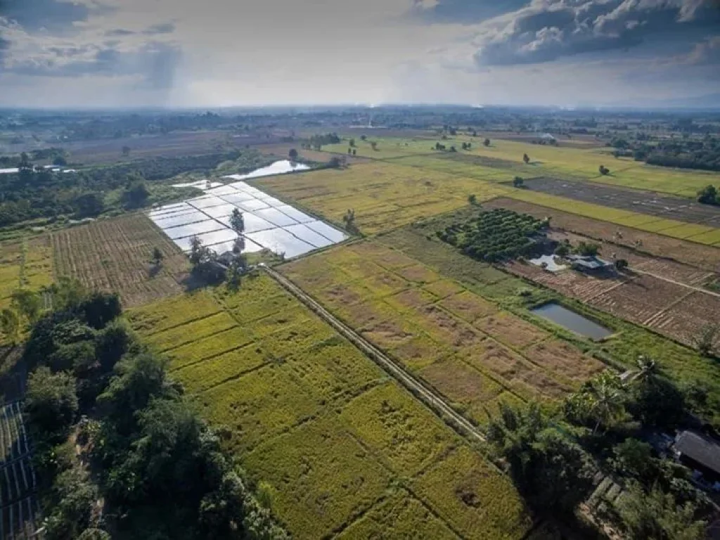 ขายที่ดินแช่ช้าง ห่างถนนใหญ่ 400 เมตร