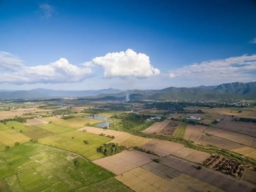 ขายที่ดินแช่ช้าง ห่างถนนใหญ่ 400 เมตร