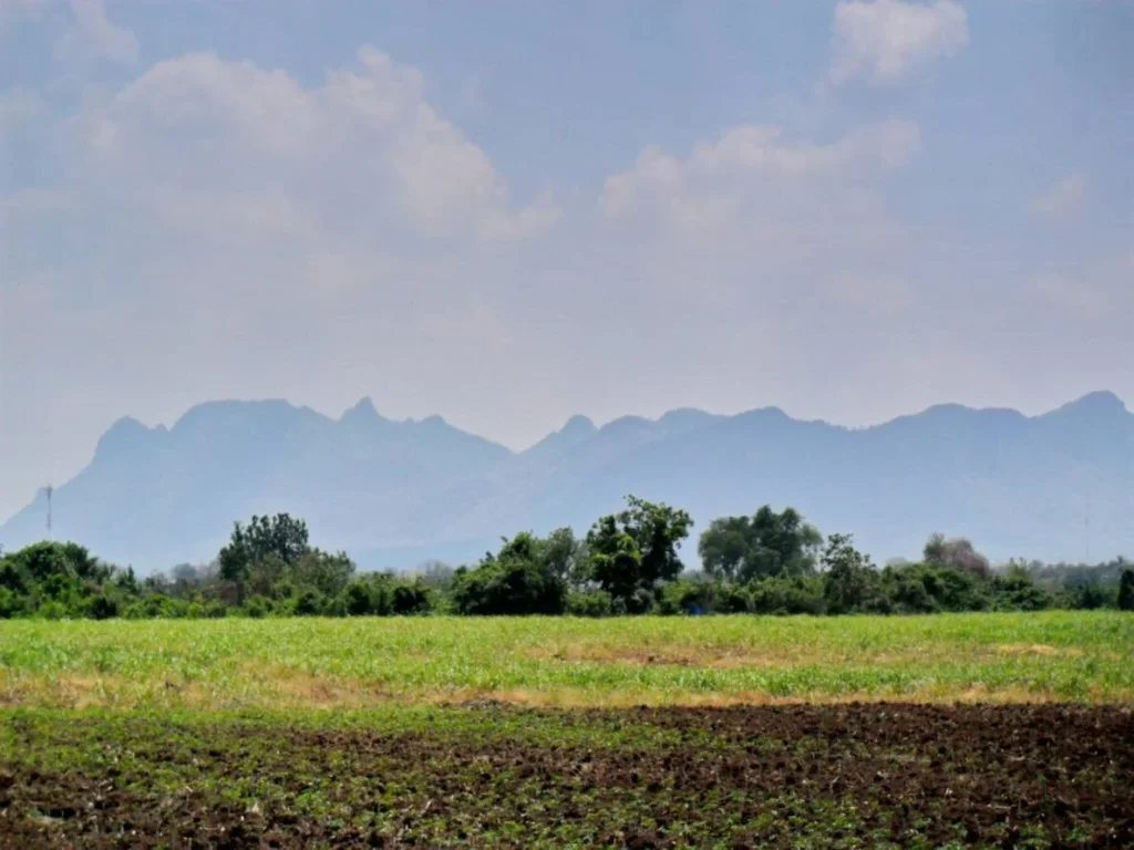 ขายที่ดิน 100 ไร่ ถนนสาย 2247 ทางไป ปากช่อง ตหนองรี อลำสนสนธิ จลพบุรี