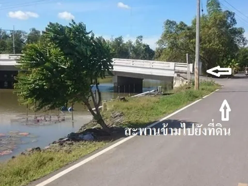 ขายที่ดินคลองหลวง คลองสี่ ปทุมธานี ใกล้วัดธรรมกาย มอเตอร์เวย์ 50ไร่