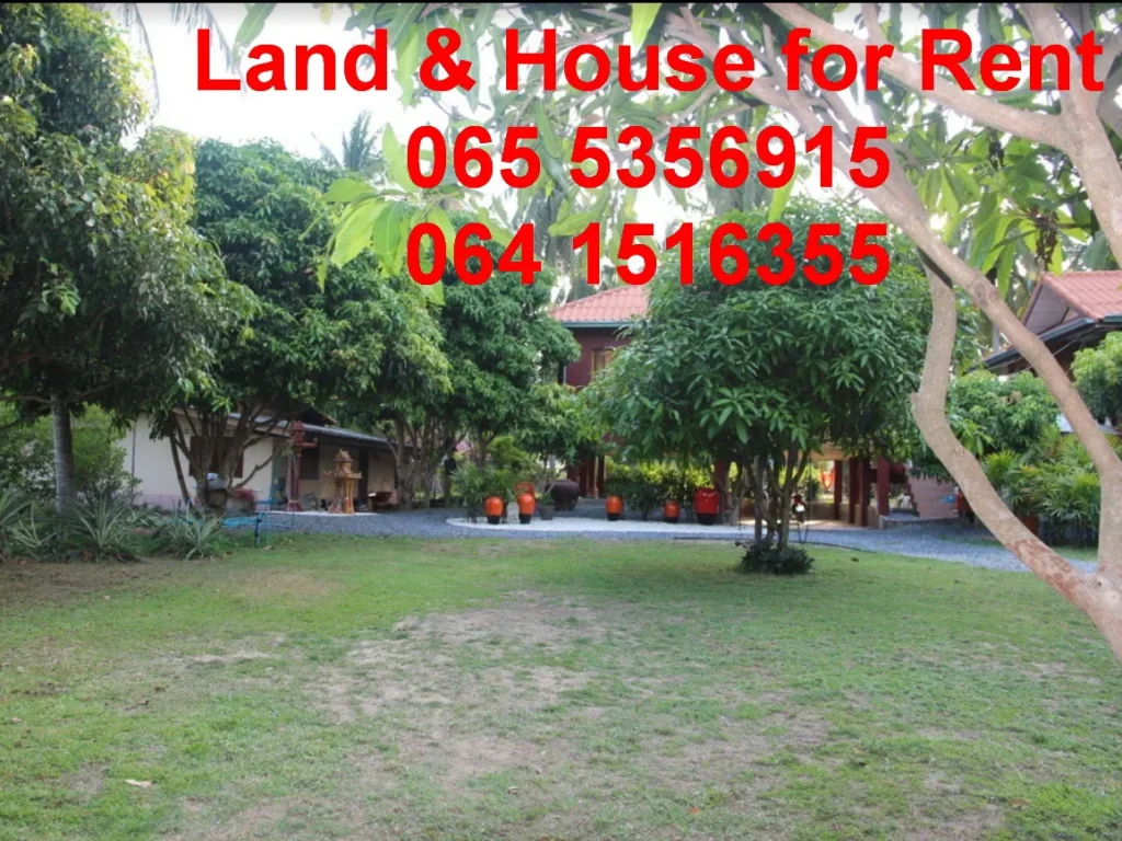 Land House for Rent