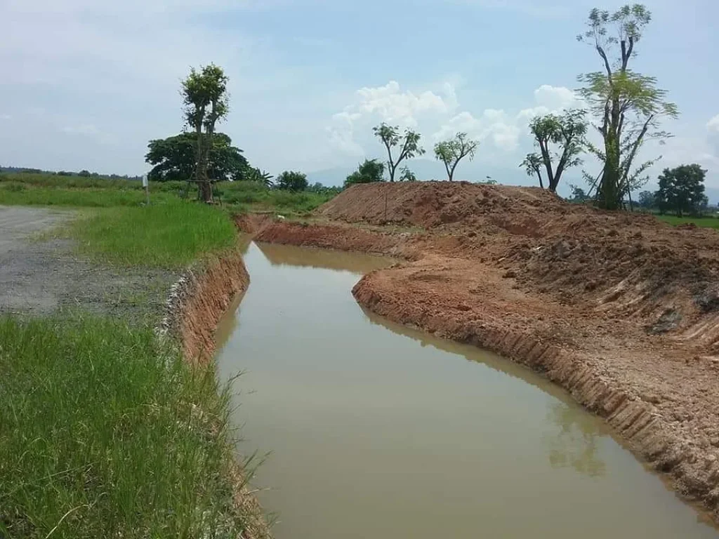 ขายที่ดินทุ่งข้าวตอก ถนนคอนกรีต ราคาถูก