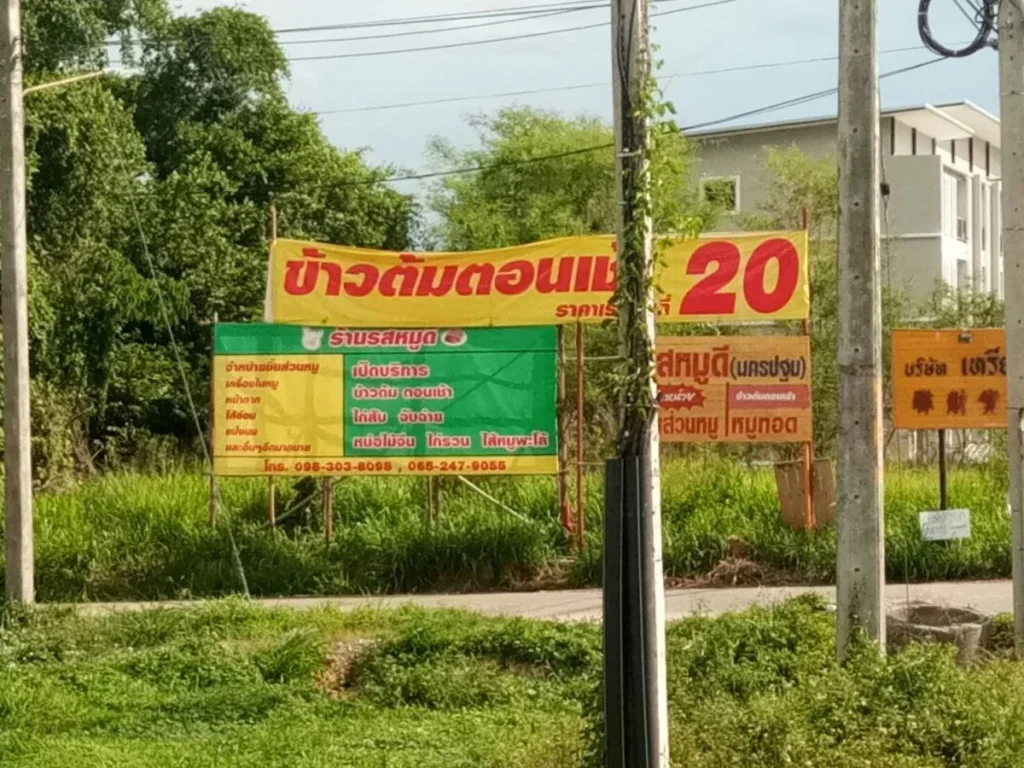 ขายที่ดินต้นเปา ห่างถนน 100 เมตร ราคาถูก