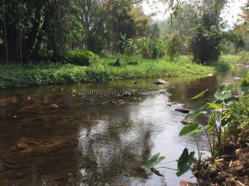 ขายที่ดินดอยสะเก็ด วิวลำธาร สวย สงบ ร่มเย็น ร่มรื่น น่าอยู่ยามวัยเกษียน