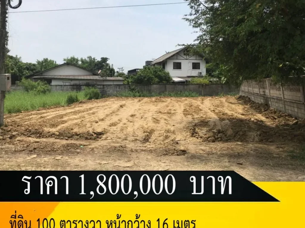 ขายที่ดิน 100 ตรว หนองผึ้ง สารภี