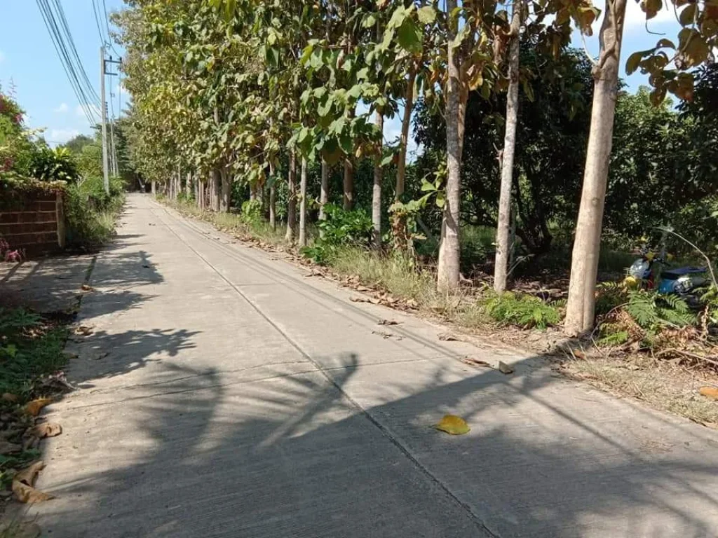 ขายที่ดินห่าง tot 45 kmพญาชมภู สารภี เชียงใหม่