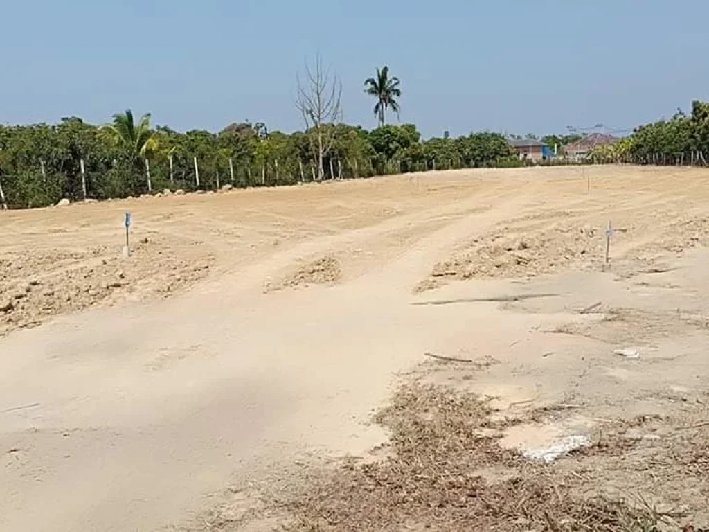 ขายที่ดินหลังโลตัส แม่เหี้ยะ เชียงใหม่ ติดถนนซอย บ้านร้องเรืองคำ