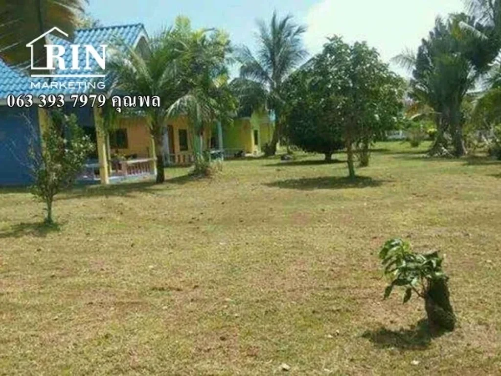 ขายที่ดิน หาดไม้ขาว ถลาง ภูเก็ต Sell Land Near Mai Khao Beach Thalang Phuket 063 393 7979 คุณพล