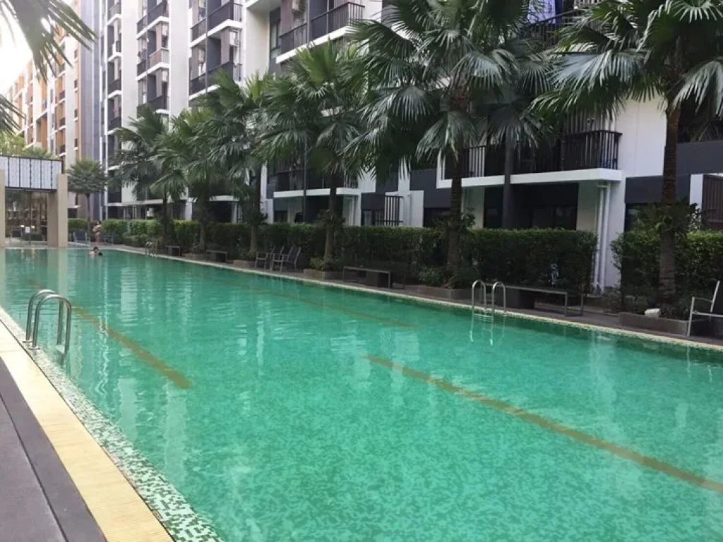 ให้เช่า คอนโด I condo sukhumvit 105 ขนาด 30 ตาราเงมตร ชั้น 8 แบบ 1 ห้องนอน 1 ห้องน้ำ