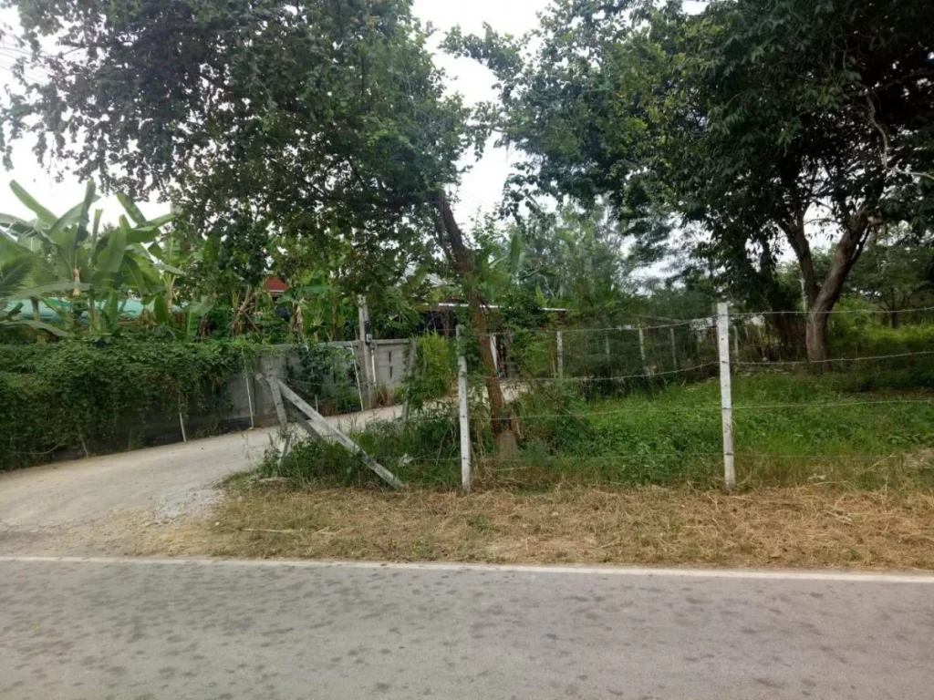 ขายที่ดินบ้านมอญเรือนแพ ห่างถนน 15 km