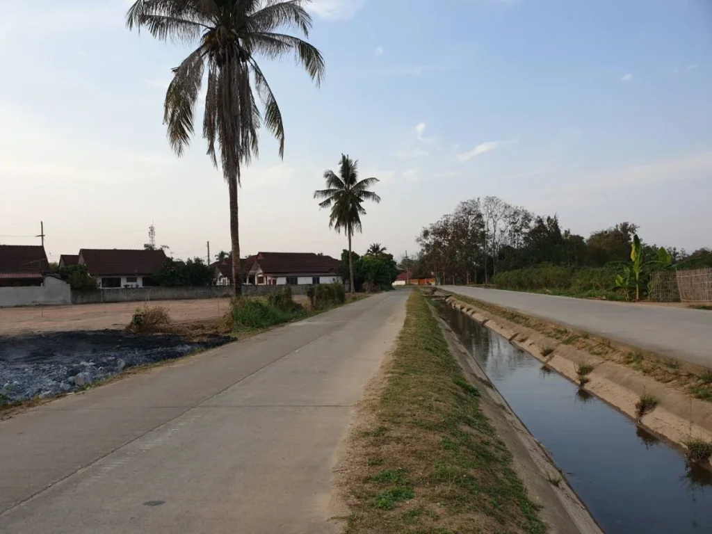 ขานที่ดินห่างเลียบคลอง500 เมตร ราคาถูก