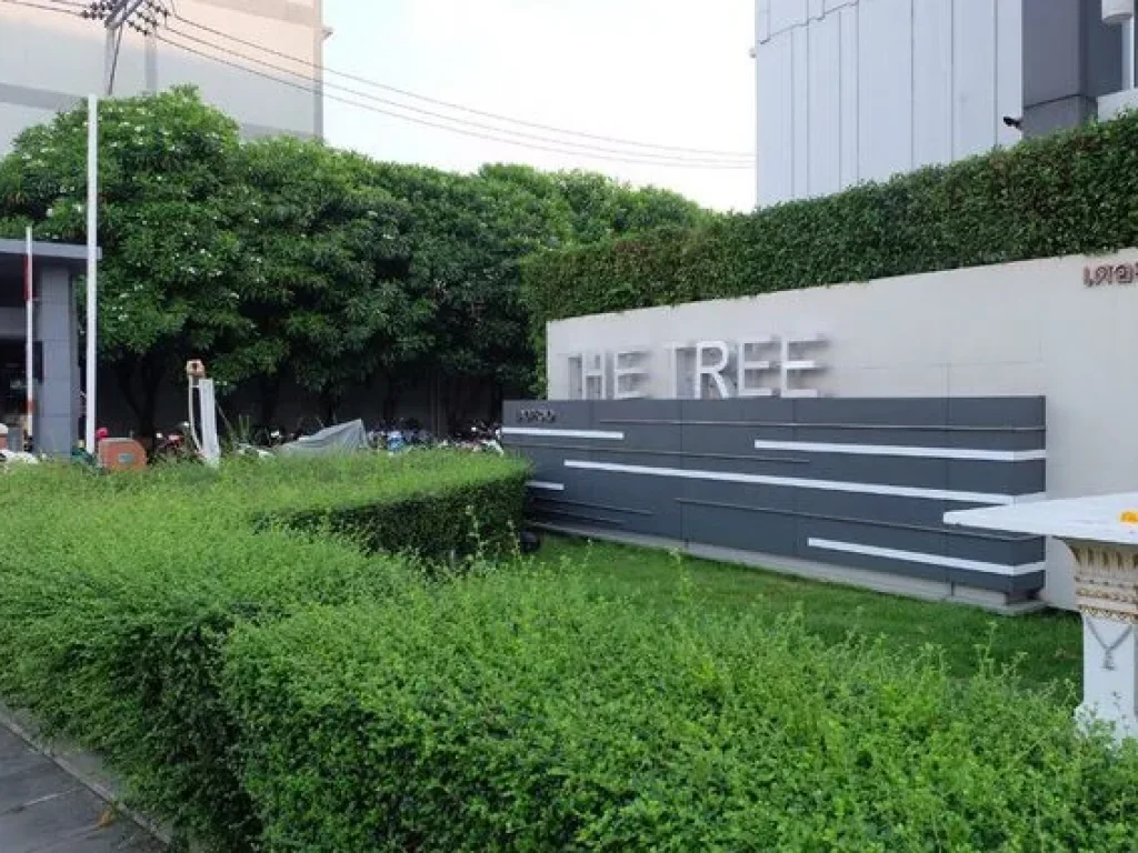 ขาย The Tree Condo Ladprao เดอะ ทรี คอนโด ลาดพร้าว ชั้นที่ 6 ใกล้ลิฟท์