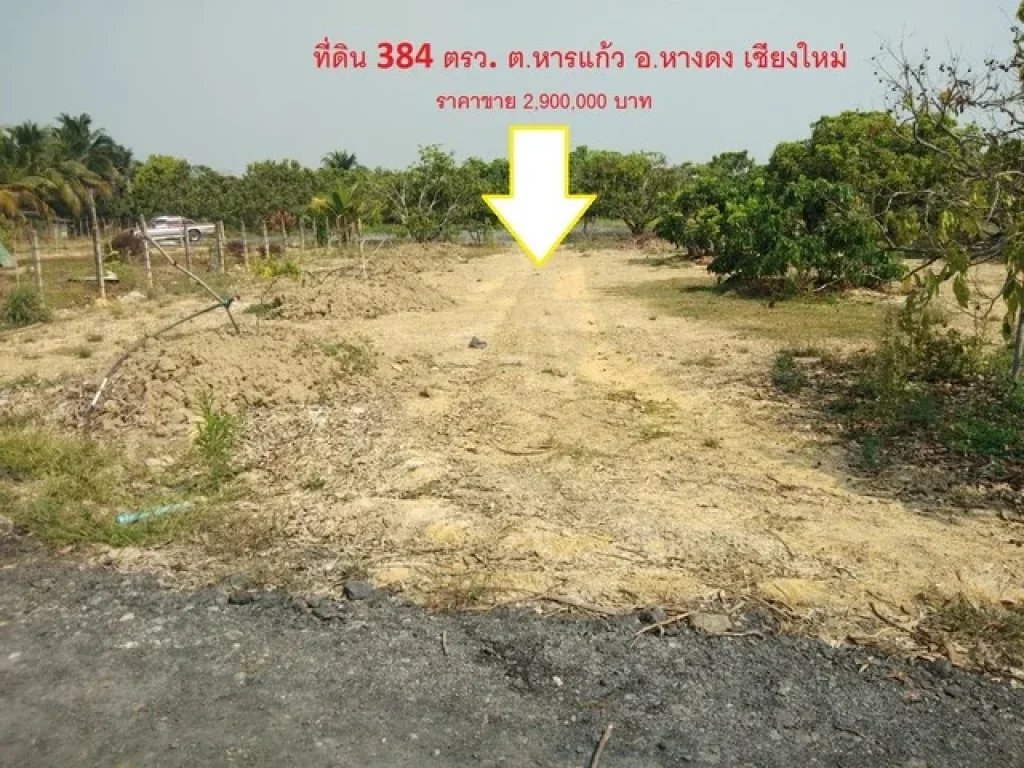 ที่ดิน 384 ตรว ตหารแก้ว อหางดง เชียงใหม่ ทำเลดี มีต้นลำไย สามารถทำเกษตร หรือ ปลูกสร้างบ้านได้