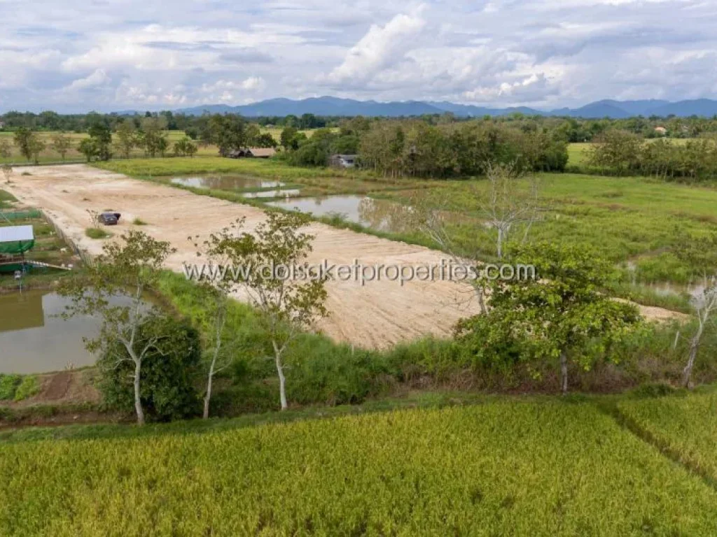 ที่ดินแบ่งขายราคาถูก วิวภูเขาและทุ่งนา อยู่ท่ามกลางธรรมชาติ