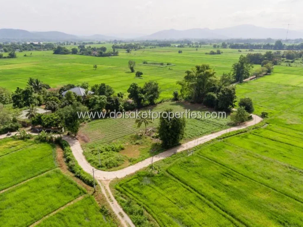 ที่ดินเปล่า ล้อมรอบด้วยธรรมชาติ วิวทุ่งนาและภูเขา ติดลำเหมือง