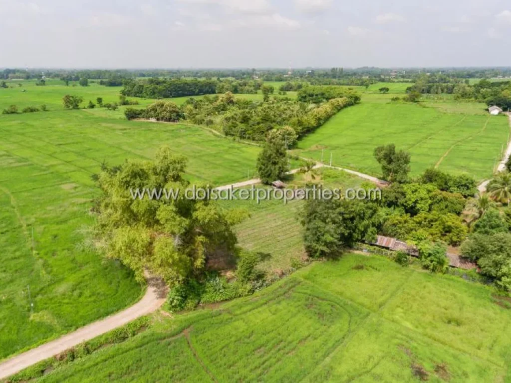 ที่ดินเปล่า ล้อมรอบด้วยธรรมชาติ วิวทุ่งนาและภูเขา ติดลำเหมือง