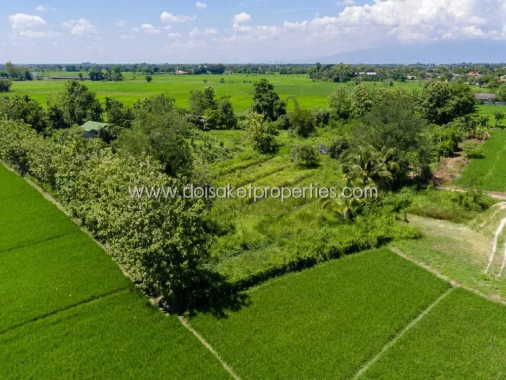 ที่ดินเปล่า ล้อมรอบด้วยทุ่งนาและภูเขา ดอยสะเก็ด