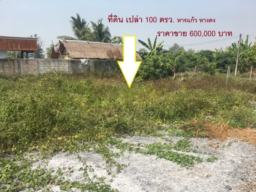 ที่ดินเปล่า 100 ตรว ตหารแก้ว อหางดง จเชียงใหม่ ทำเลดี เหมาะกับการปลูกสร้างบ้าน ร่มรื่นน่าอยู่