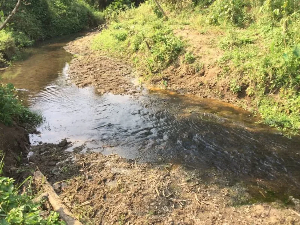 ขายที่ดิน แม่แตง ทิศตะวันออกติดลำห้วย ทิศตะวันตกติดลำเหมืองใหญ่