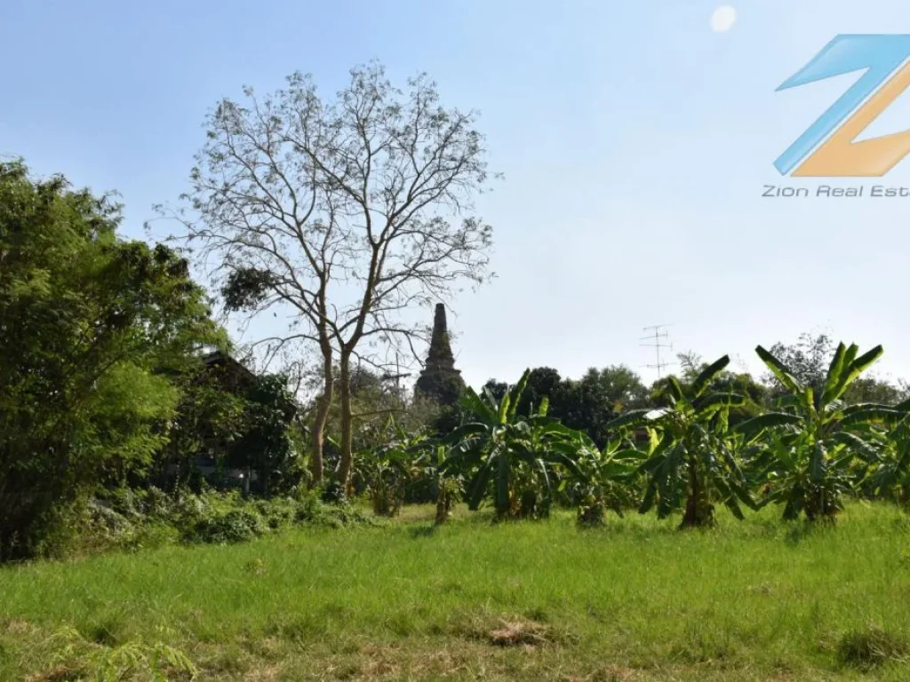 ขายที่ดินสวยริมน้ำ 4 ไร่ ตสวนพริก อพระนครศรีอยุธยา