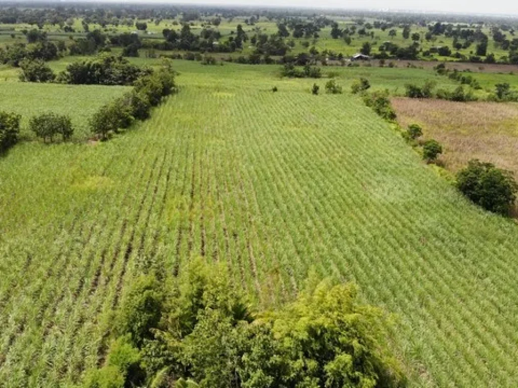 ที่ดินการเกษตรใกล้แกล่งท่องเที่ยว อรัญประเทศ จังหวัดสระแก้ว