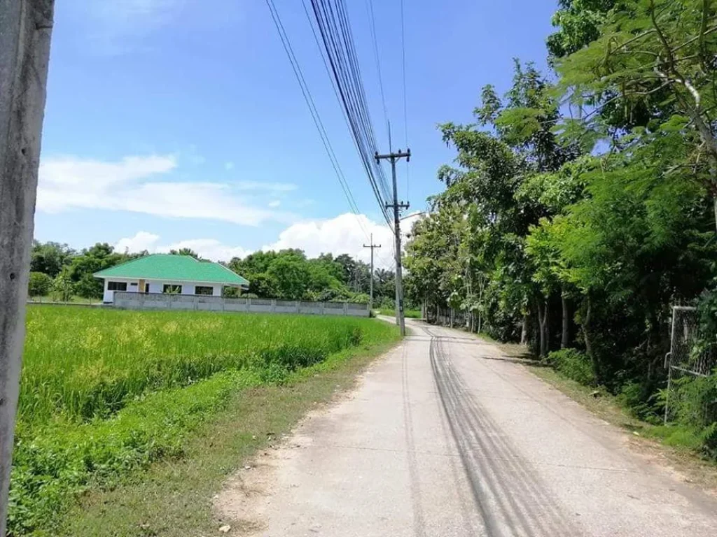 ขายที่ดินจัดสรรไกล้กุลพันธ์ 9 หางดง