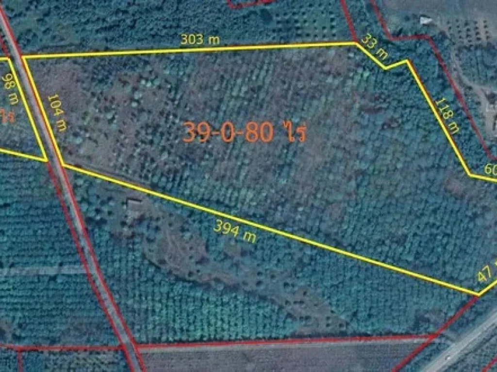 ขายที่ดินสวนยาง สามารถกรีดขายได้แล้ว 43-0-69 ไร่ ติดถนน อสอยดาว จันทบุรี