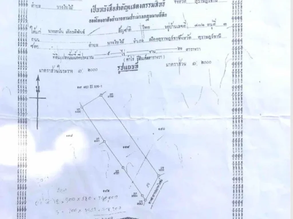 ที่ดินติดถนนคอนกรีตใก้ลเมืองสุราษธานี3กมเป็นสวนมะพร้าวเก็บลูกได้ทุกเดือน