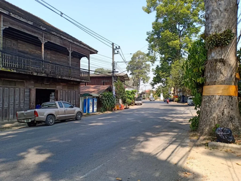 ขายที่ดินติดถนนหลัก ต้นยาง แหล่งถนนคนเดิน