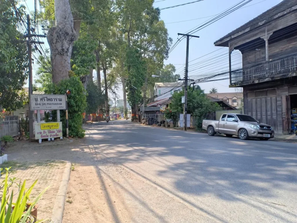 ขายที่ดินติดถนนหลัก ต้นยาง แหล่งถนนคนเดิน