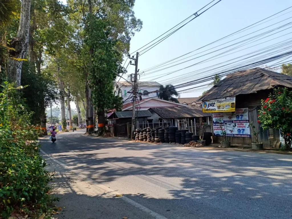 ขายที่ดินติดถนนหลัก ต้นยาง แหล่งถนนคนเดิน